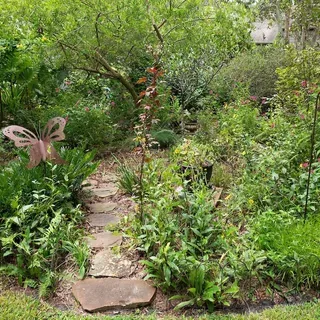 thumbnail for publication: Lawn and Garden: Plants